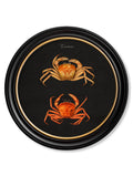 C.1876 Marine Animals in Round Frames - Black - Blythe Living