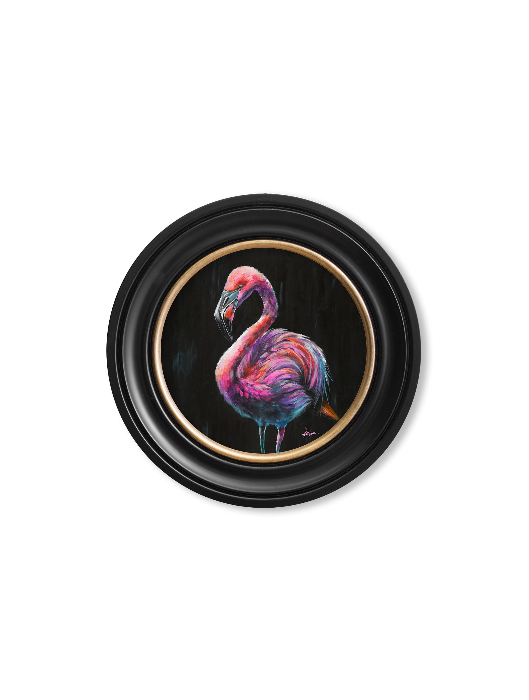 Flamingo Print 'Florrie' by Amy Ansell - Oxford Round Frame - Blythe Living