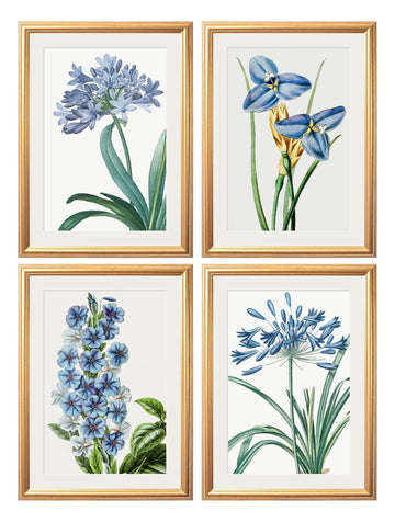 Blue Floral Illustrations Set of 4 Prints - Blythe Living