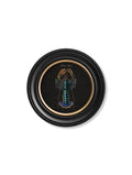 C.1876 Marine Animals in Round Frames - Black - Blythe Living