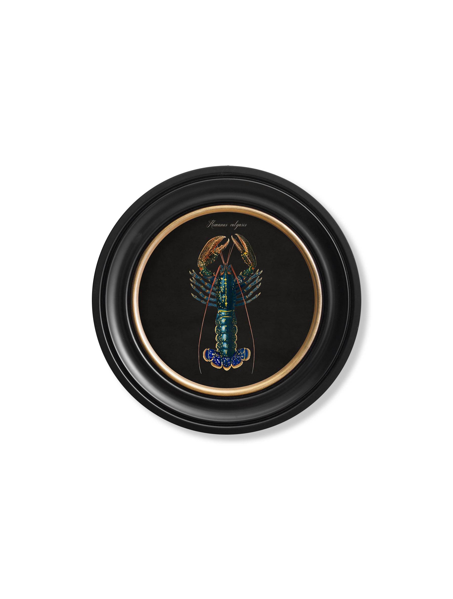 C.1876 Marine Animals in Round Frames - Black - Blythe Living