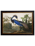 c.1838 Audubon's Herons - Blythe Living