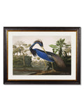 c.1838 Audubon's Herons - Blythe Living
