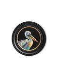 Pelican Print 'Pierre' by Amy Ansell - Oxford Round Frame - Blythe Living