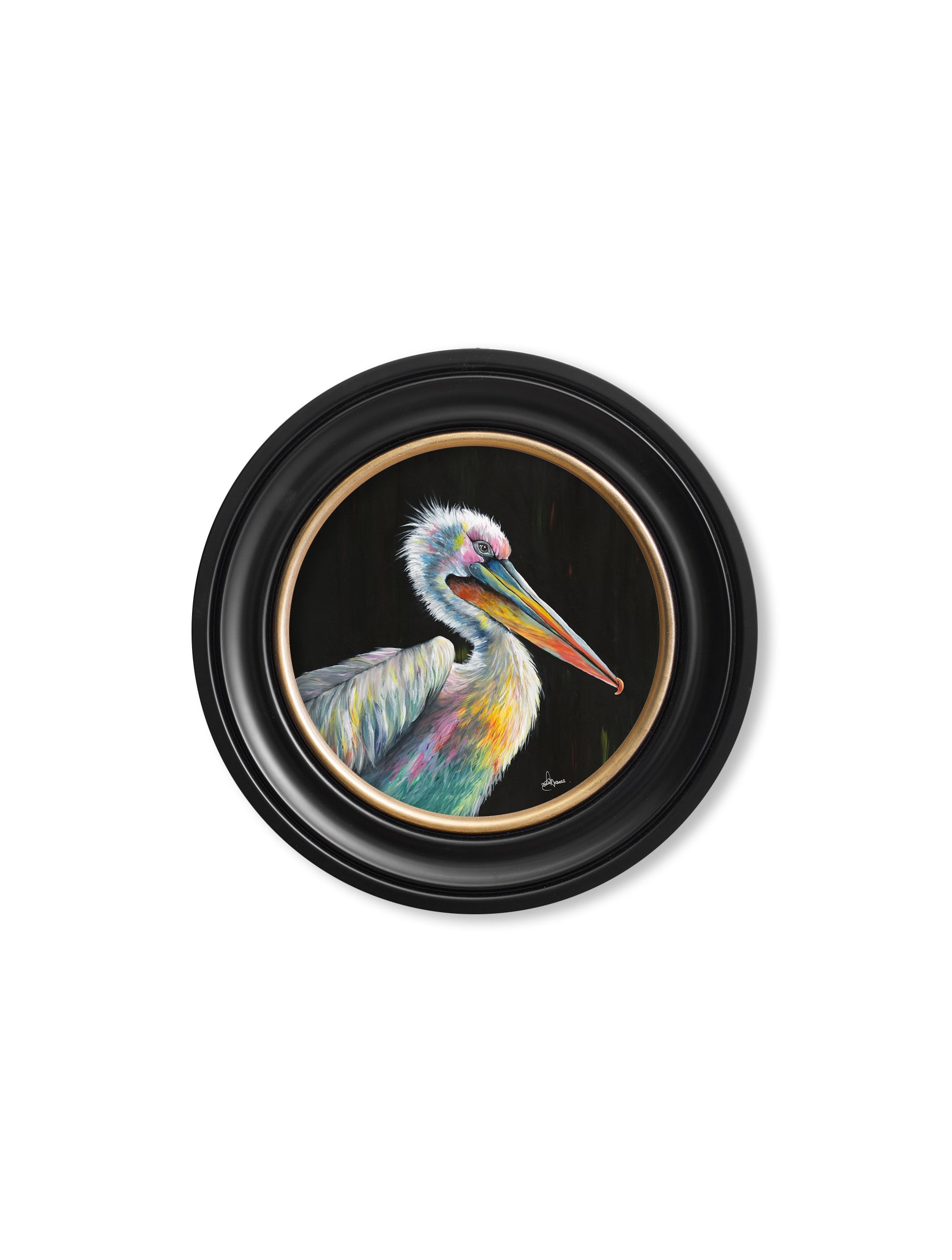 Pelican Print 'Pierre' by Amy Ansell - Oxford Round Frame - Blythe Living