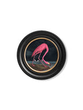 c.1838 Audubon's Flamingo - Dark - Round Frame - Blythe Living