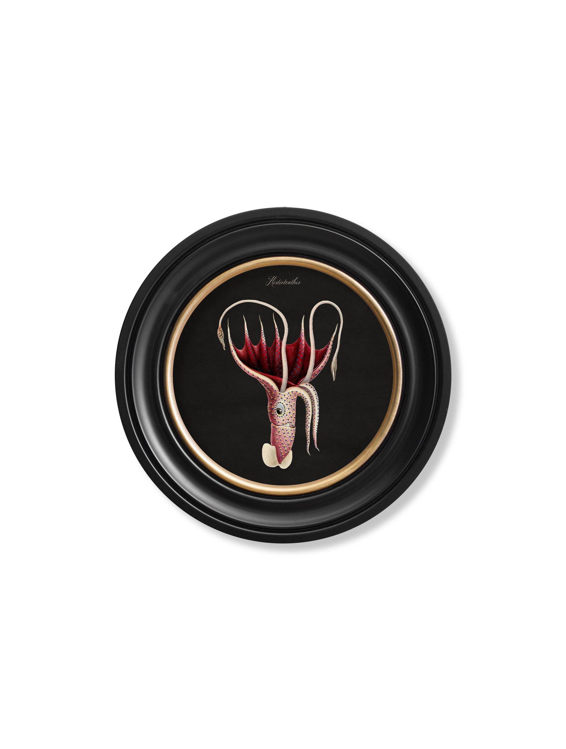 C.1876 Marine Animals in Round Frames - Black - Blythe Living