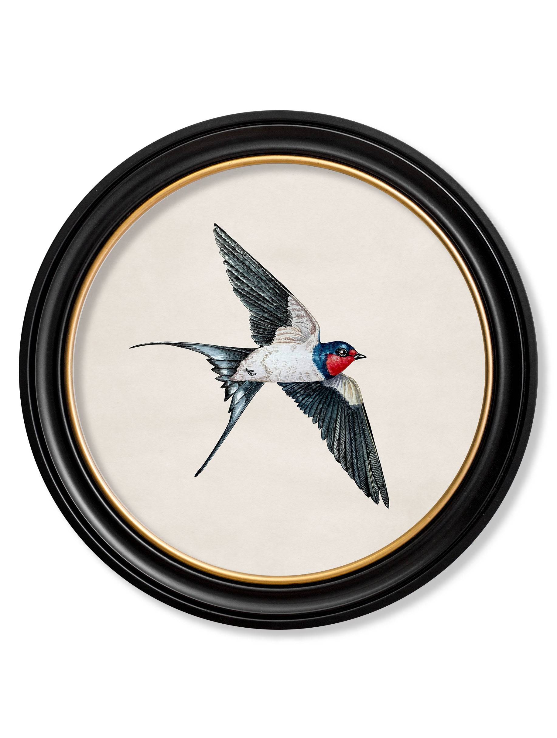 c.1875 Swallows in Round Frames - Blythe Living