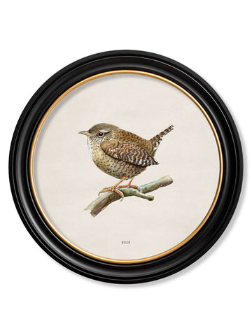 Wren in Round Frame - Blythe Living