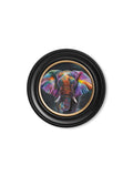 Elephant Print 'Wisdom' by Amy Ansell - Oxford Round Frame - Blythe Living