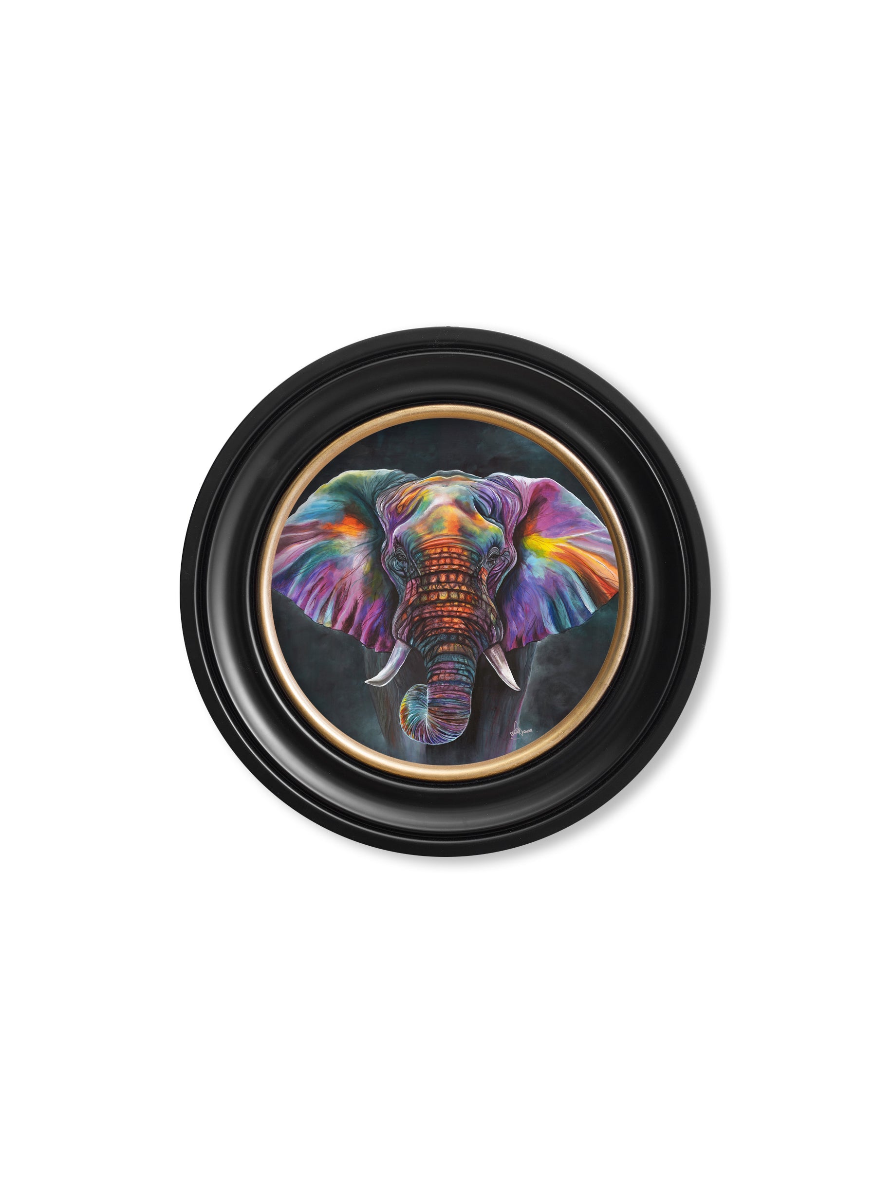 Elephant Print 'Wisdom' by Amy Ansell - Oxford Round Frame - Blythe Living