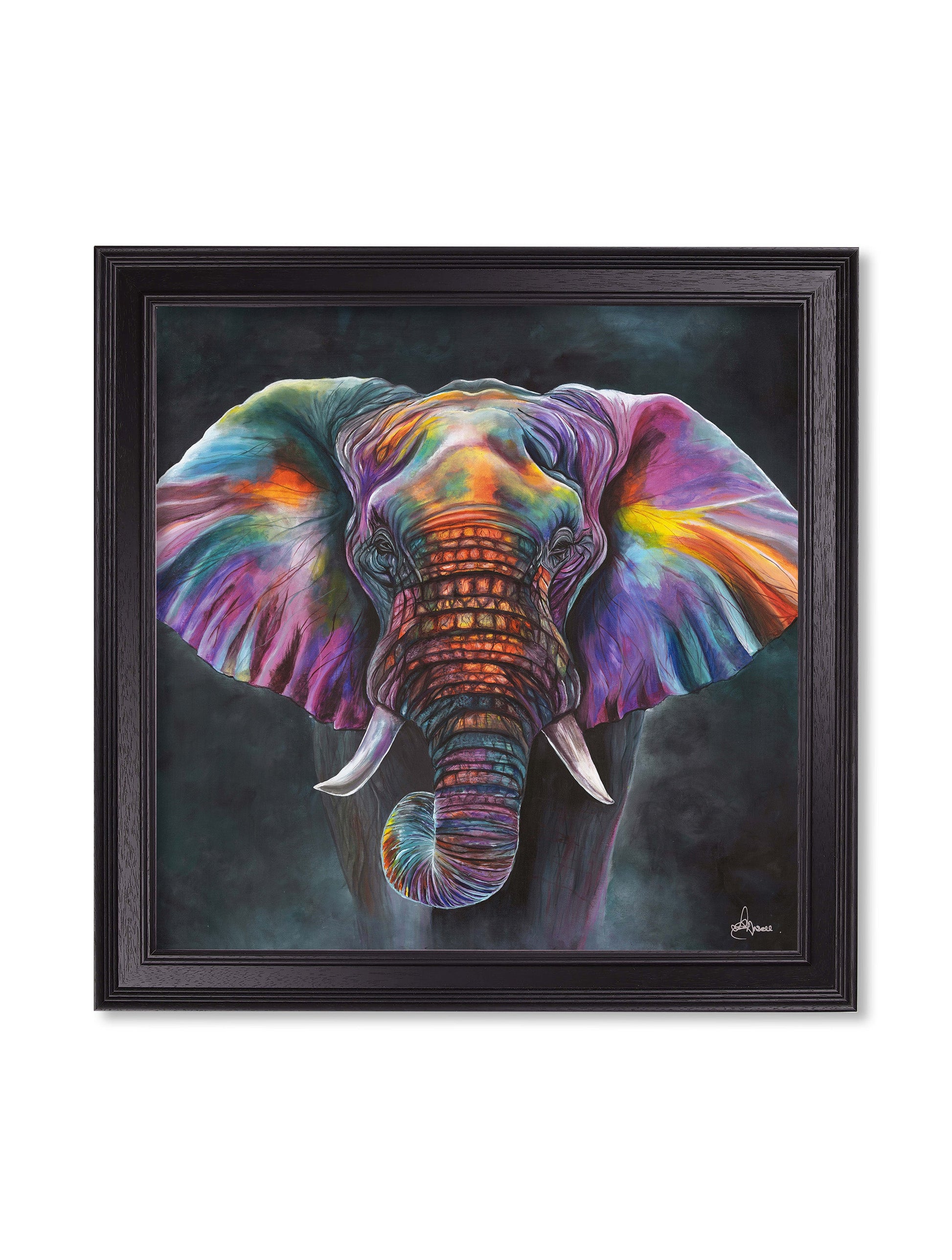 Elephant Print 'Wisdom' by Amy Ansell - Black Square Frame - Blythe Living