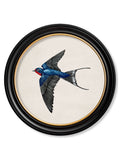 Antique bird print round sustainable wood frame buy online UK
