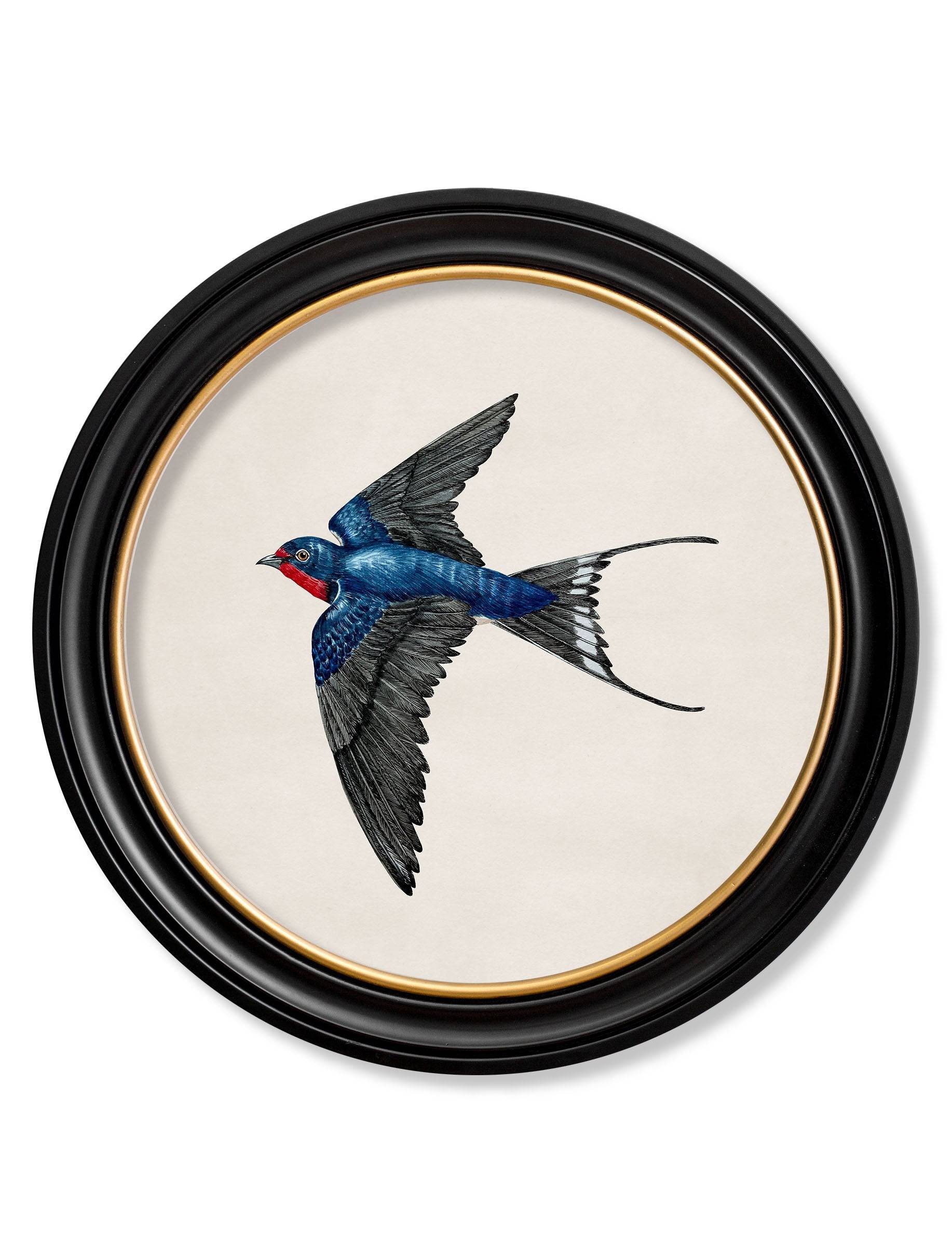 Antique bird print round sustainable wood frame buy online UK
