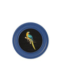 C.1884 Collection of Macaws in Round Frames Blue - Blythe Living