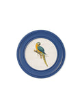 C.1884 Collection of Macaws in Round Frames Blue - Blythe Living