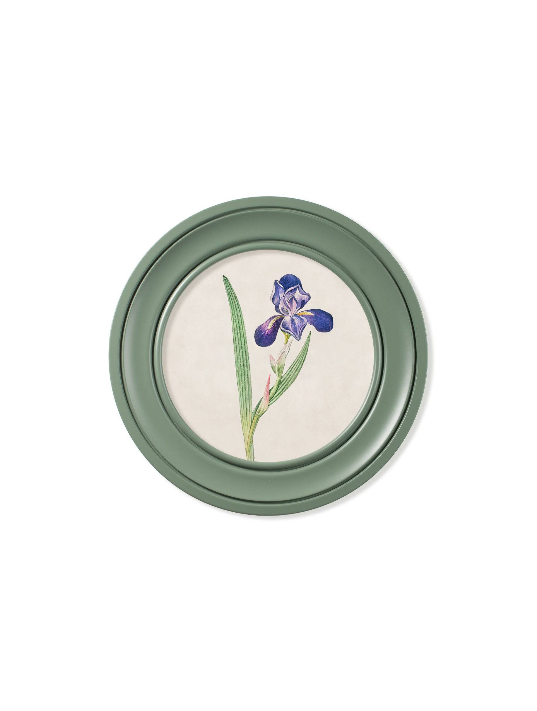 c.1780 Flowering Plants Round Frame Green - Blythe Living