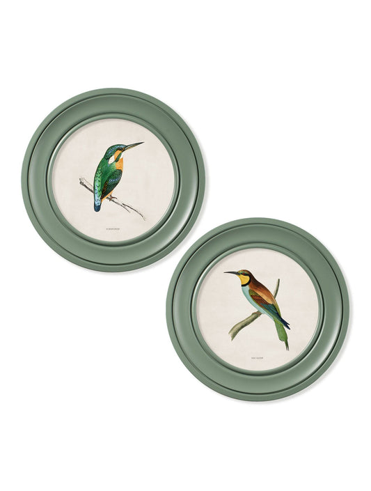 c.1870 Kingfisher and Bee Eater - Round Frame Green - Blythe Living