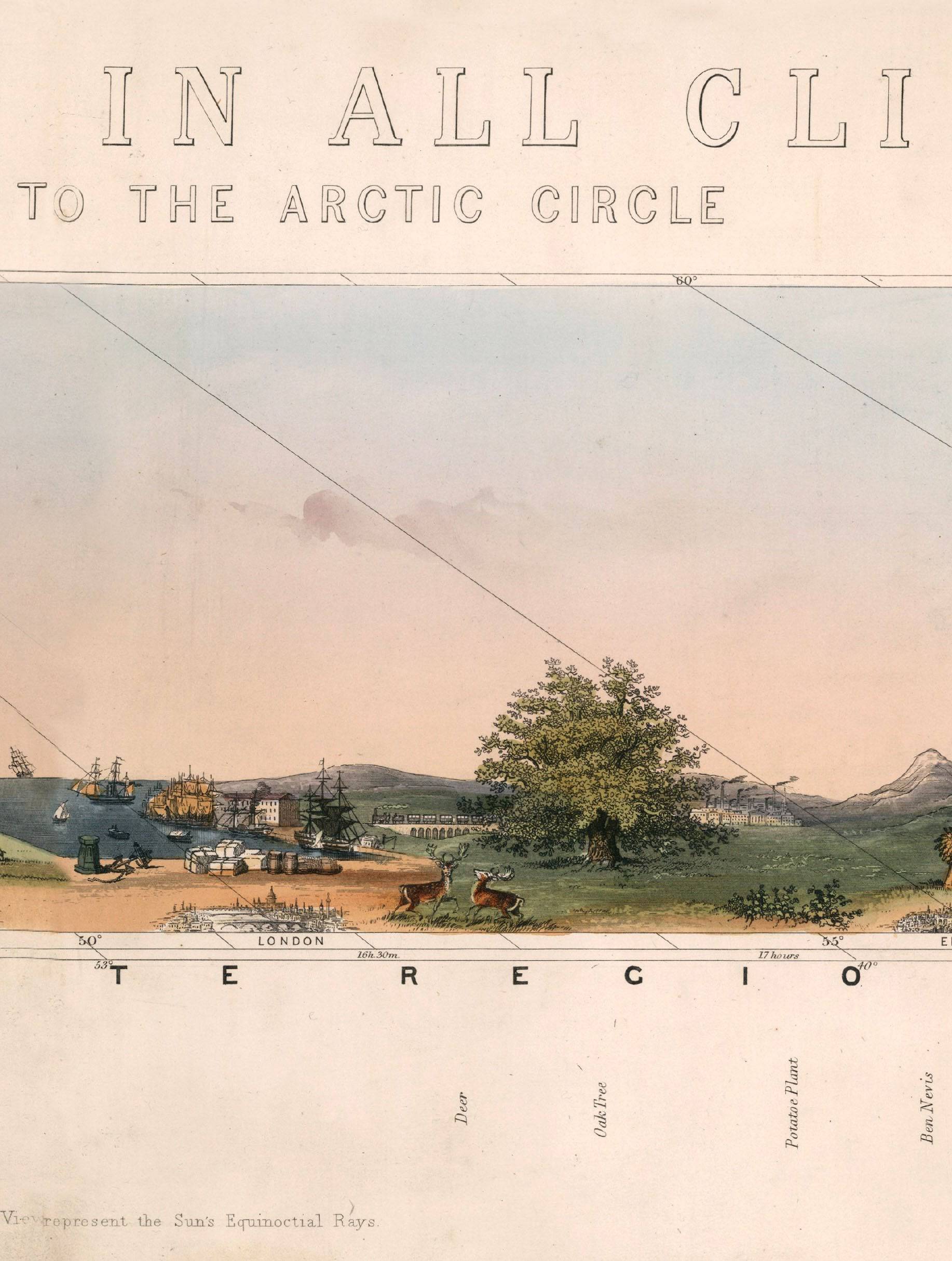Best Price for Archival Grade c.1852 View of Nature Educational Art