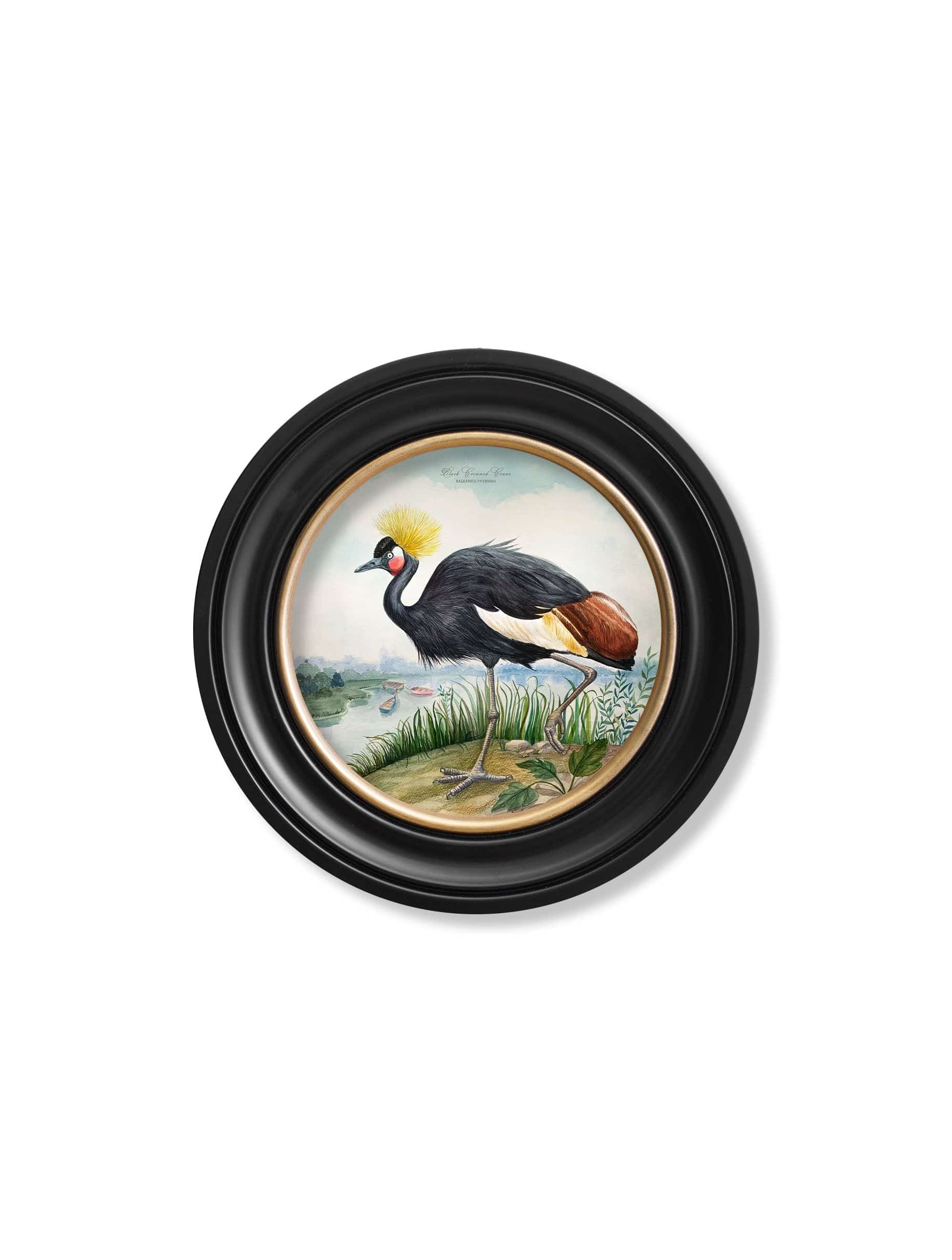 Audubon Style Cranes in Round Frames - Blythe Living