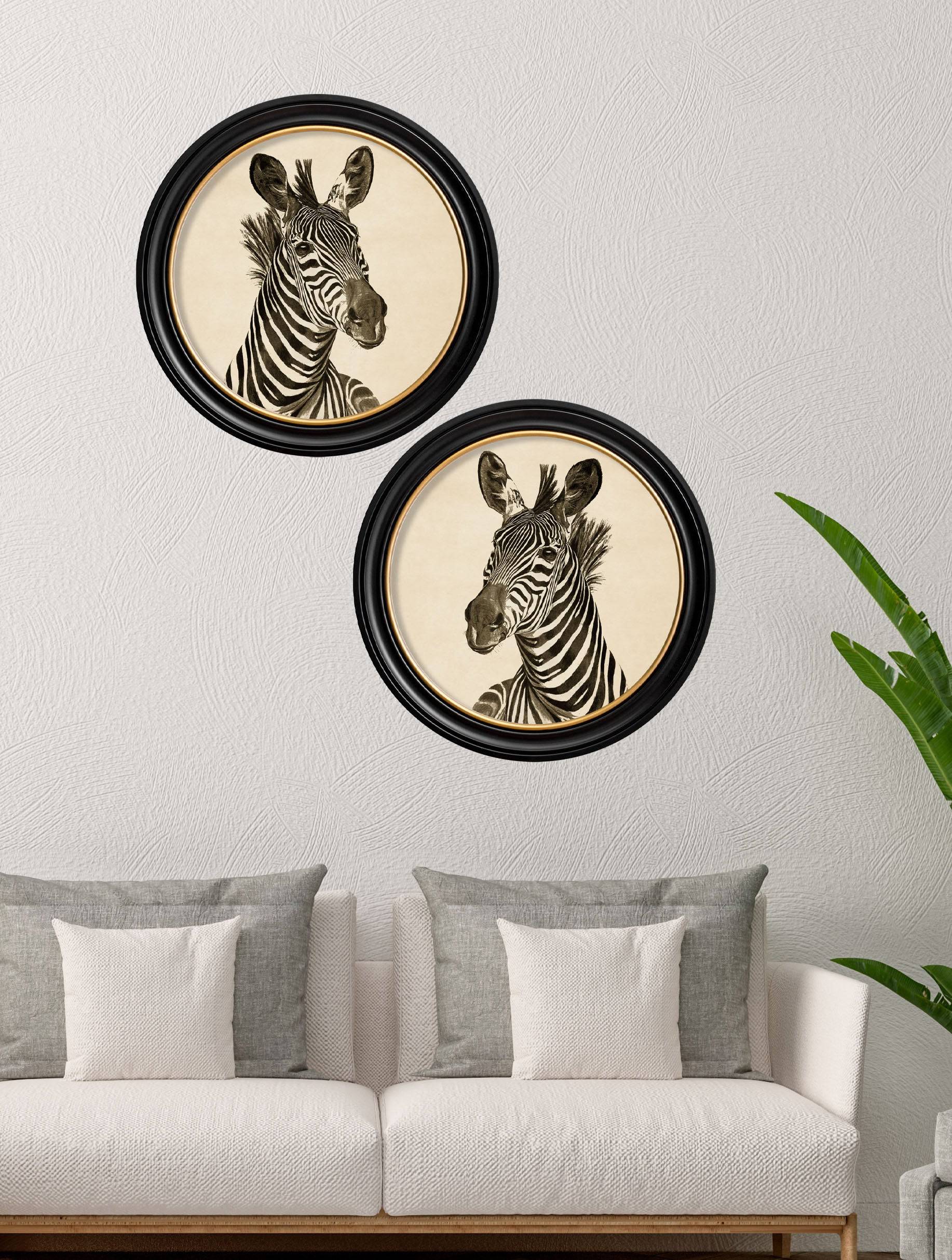 c1890 Zebra Illustrations in Round Frame - Dark - Blythe Living