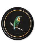 c.1870 Kingfisher and Bee Eater - Black - Blythe Living