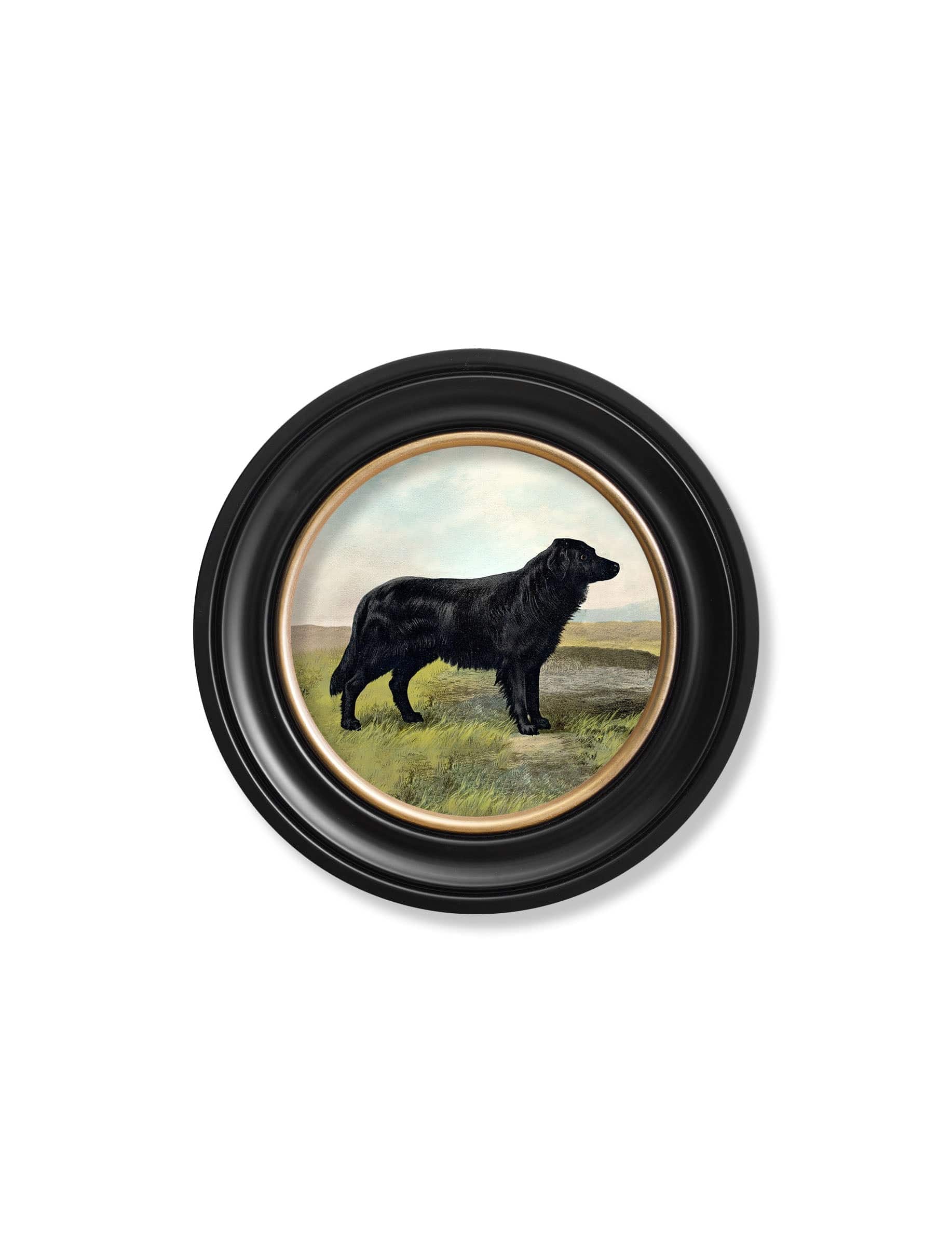 c.1881 Working Dogs - Round Frame - Blythe Living