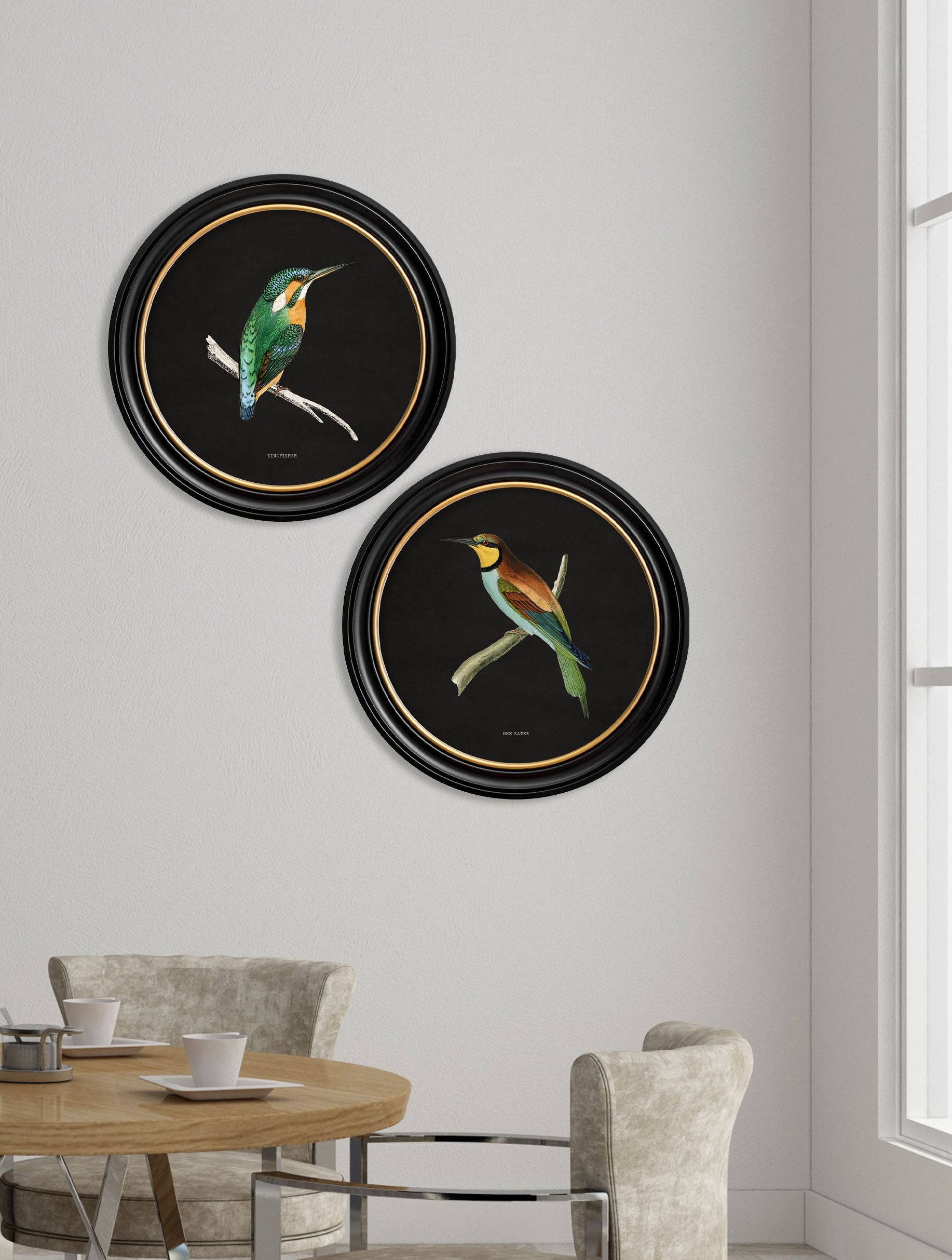 c.1870 Kingfisher and Bee Eater - Black - Blythe Living