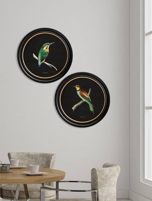 c.1870 Kingfisher and Bee Eater - Black - Blythe Living