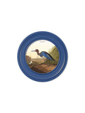 c.1838 Audubon's Blue Heron in Blue Frame - Blythe Living