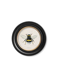 c1892 British Bees Round Frame - Blythe Living