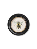 c1892 British Bees Round Frame - Blythe Living