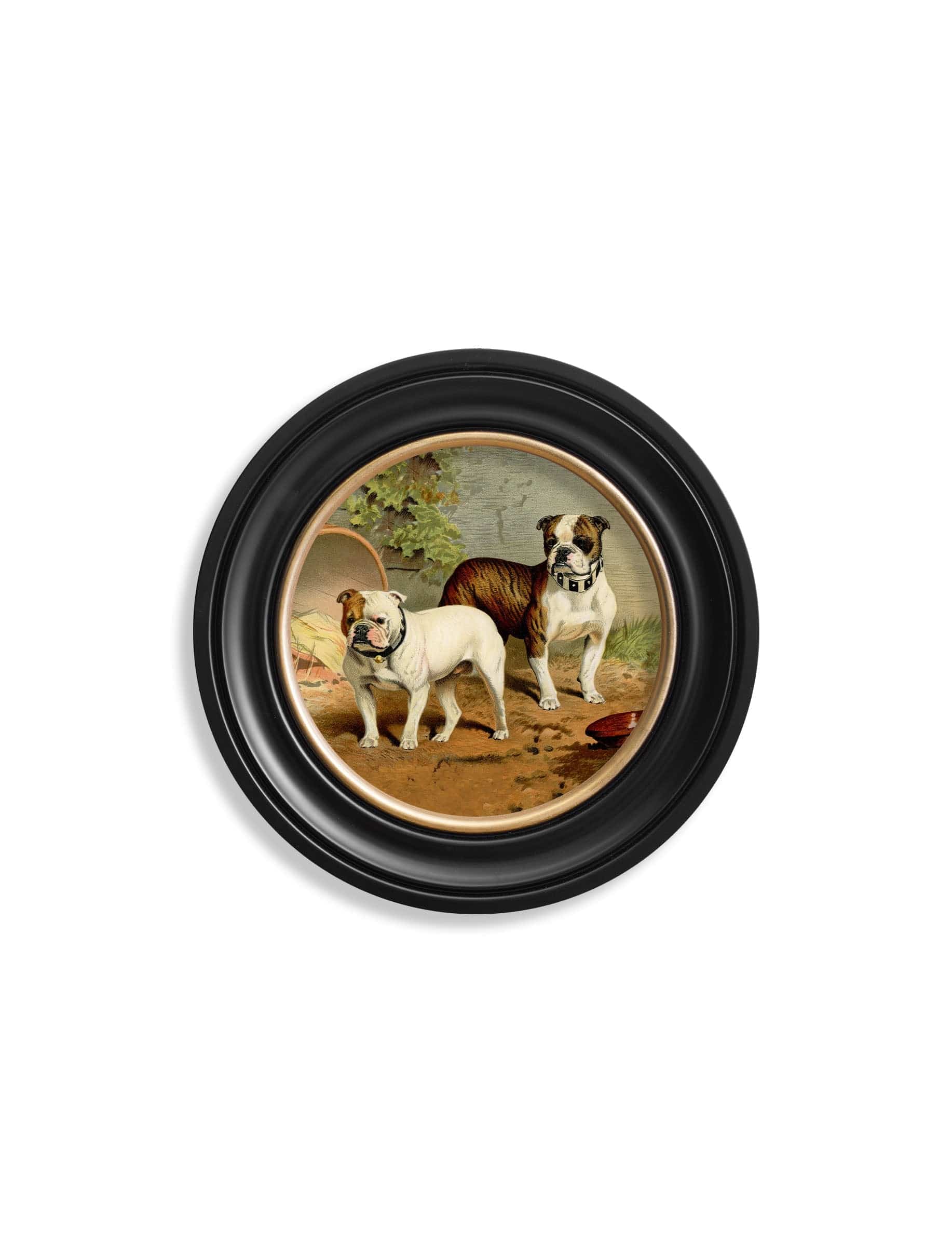 c.1881 Dogs - Round Frame - Blythe Living