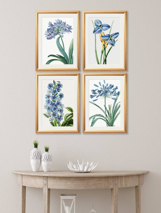 Buy Blue Floral Illustrations set of 4 framed botanical prints UK