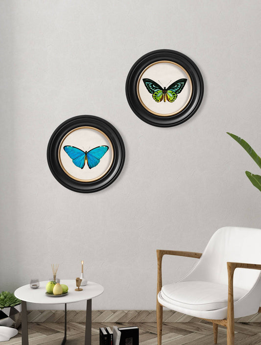 Buy Blue Morpho and Birdwing Butterfly Prints in Sustainable Round Wood Frames