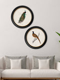 Buy British Birds Round Framed Art Prints in Sustainable Wood