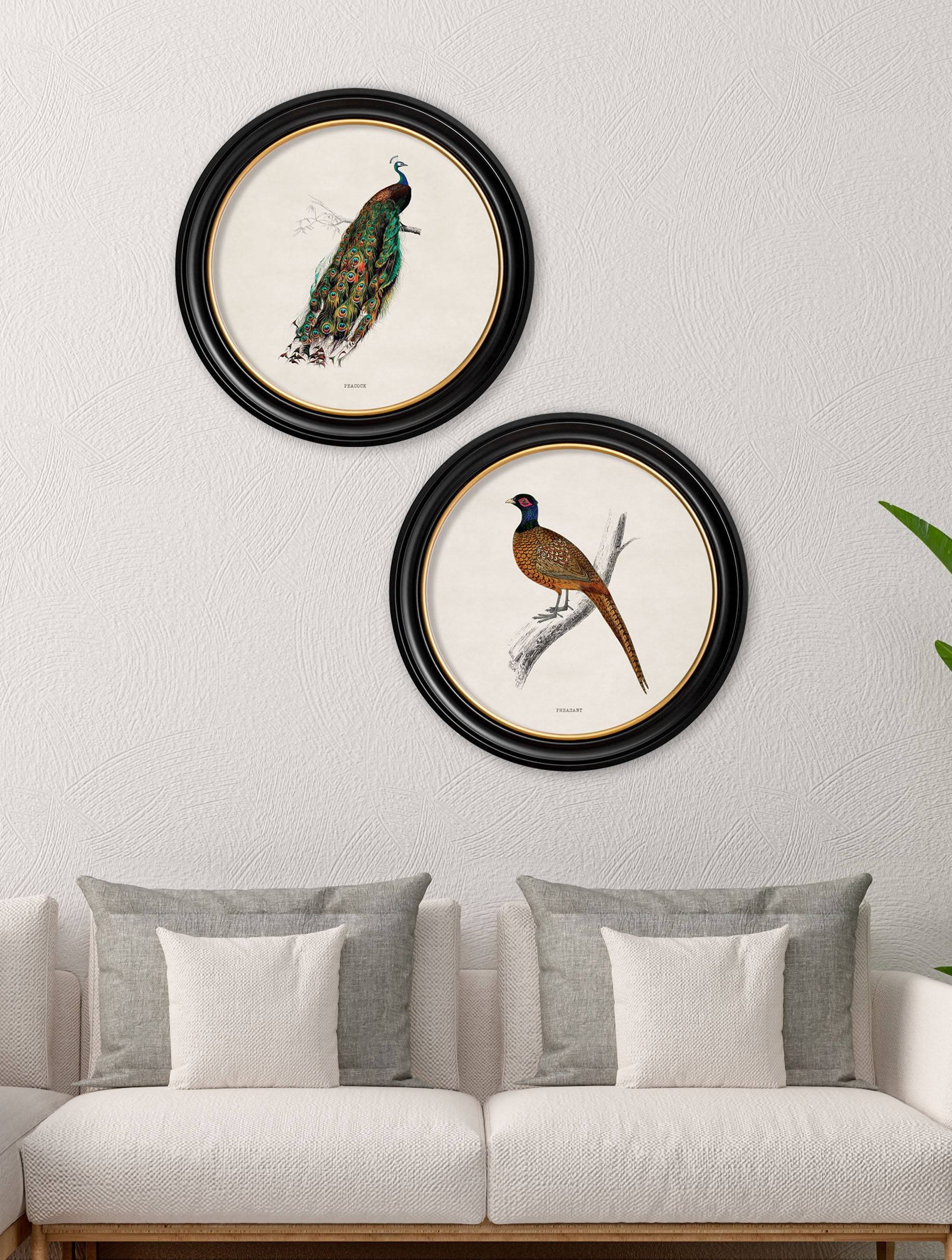 Buy British Birds Round Framed Art Prints in Sustainable Wood