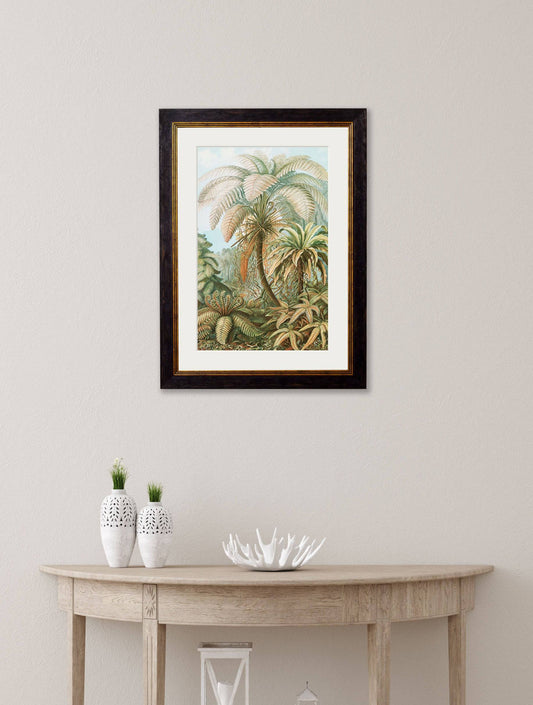 Buy C.1904 Study of Ferns Ernst Haeckel framed print UK
