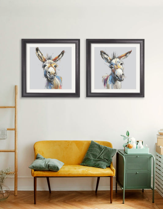 Buy Donkey Jack and Jennet Cosy Sketch Black Hurstwood square framed print UK