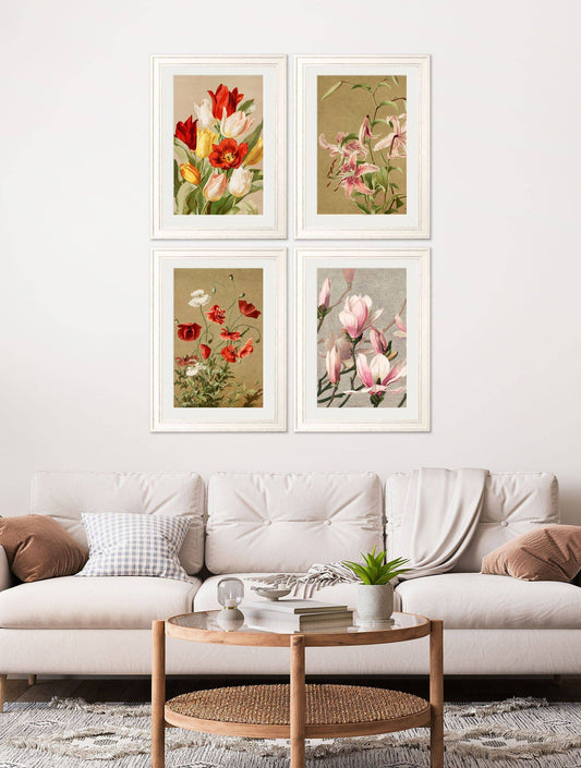 Buy Floral Group antique botanical illustration framed wall art online UK
