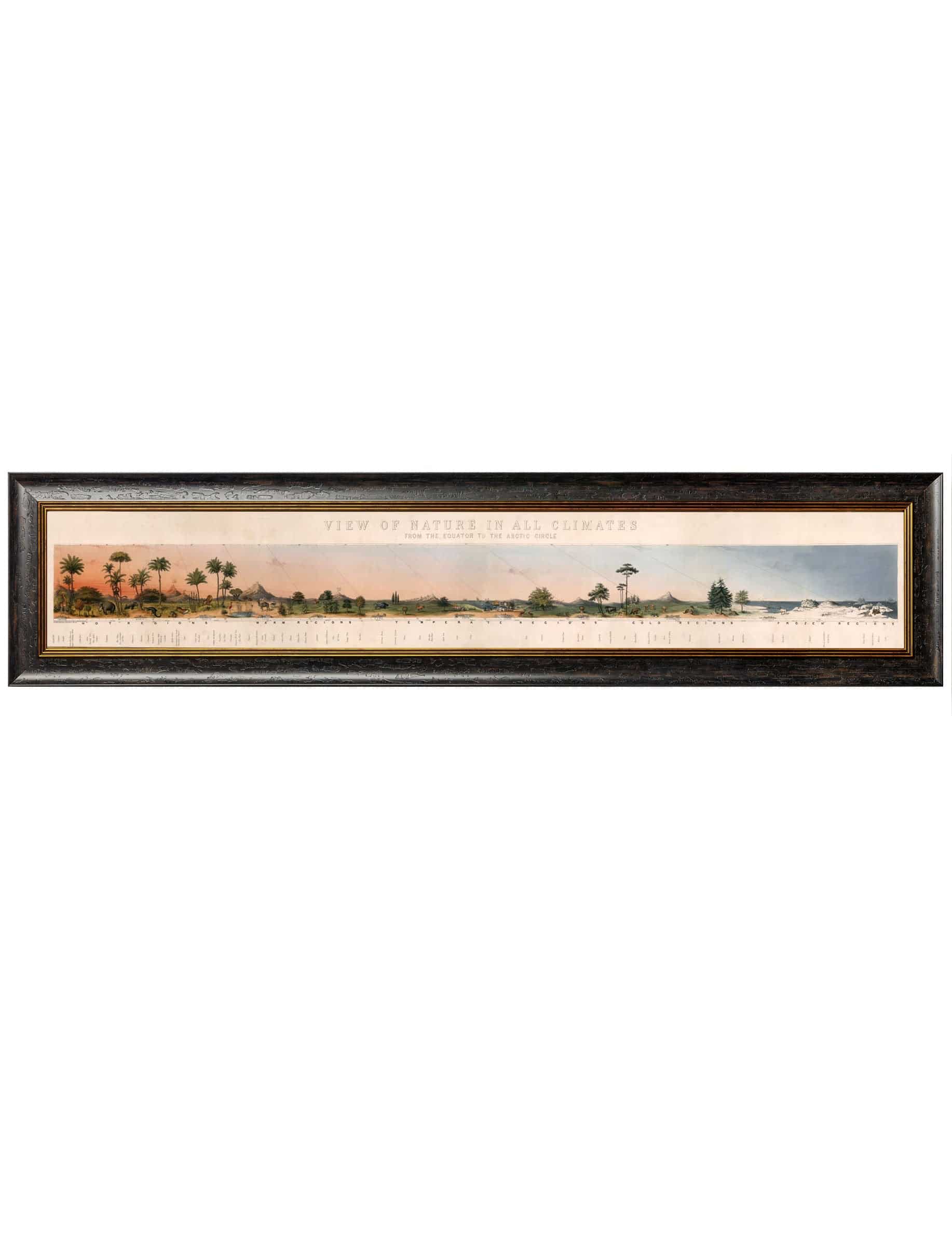Buy Grand Size c.1852 View of Nature Framed Print for Libraries
