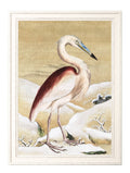 Buy Heron Set of 2 Prints Ram Das archival framed bird art online UK
