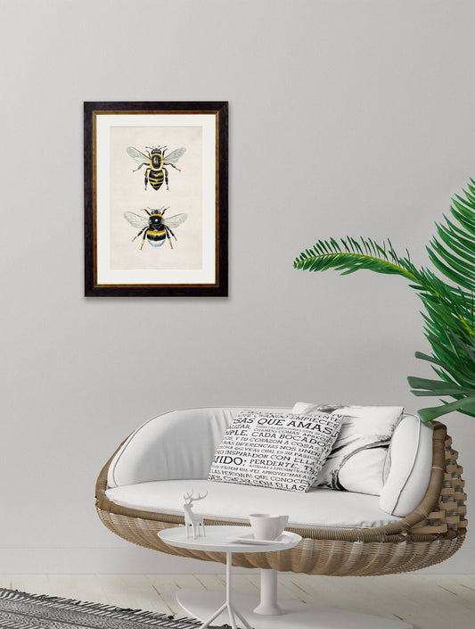 Buy Honey and Bumble Bee archival framed wall art online UK

