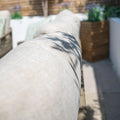 Buy Maze Bali Outdoor Sofa Set