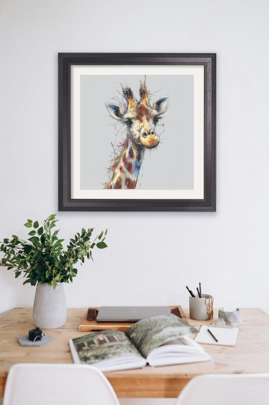 Buy Tall Giraffe Cosy Sketch Black Hurstwood square framed print UK
