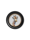 Buy Tall Giraffe Cosy Sketch Oxford round framed print UK