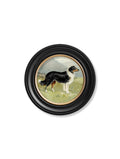 Buy Victorian Border Collie Labrador round framed art UK
