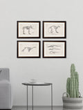Buy Victorian Skeleton Illustration Prints in Sustainable Wood Oxford Frames