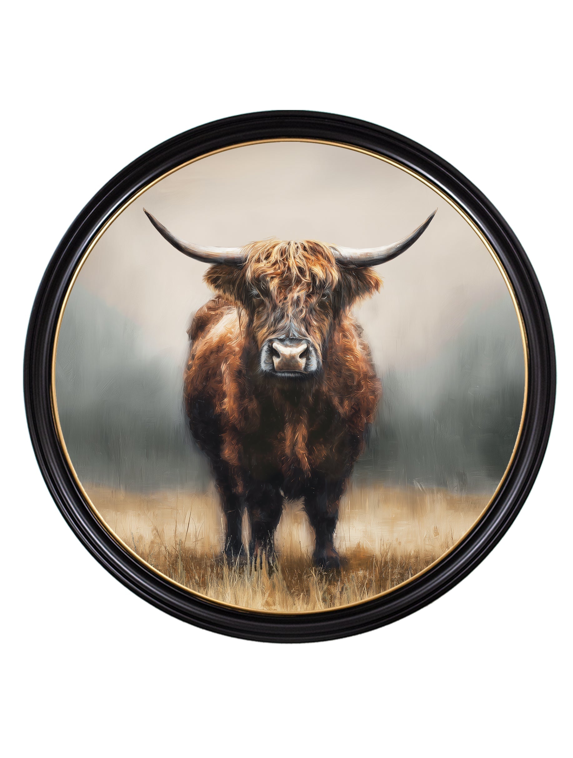 Buy archival quality Highland Cow photography online UK Blythe Living