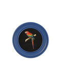 Buy archival quality blue macaw art online UK